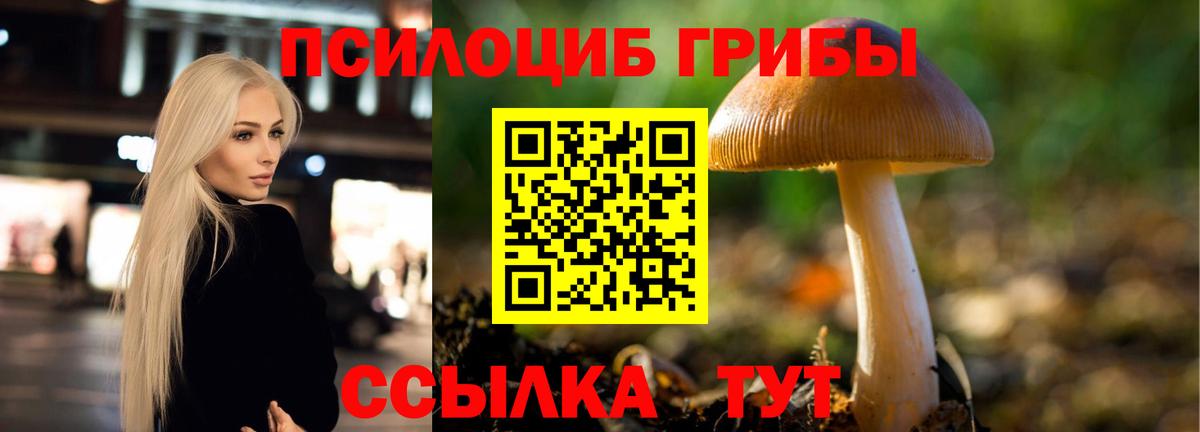 Псилоцибиновые грибы GOLDEN TEACHER Ефремов