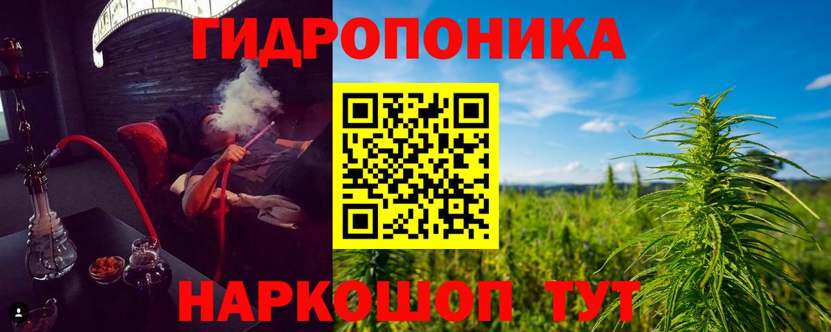 Канабис конопля  Вход с VPN  Ефремов  Шишки марихуана планчик  Бошки марихуана ГИДРОПОН 